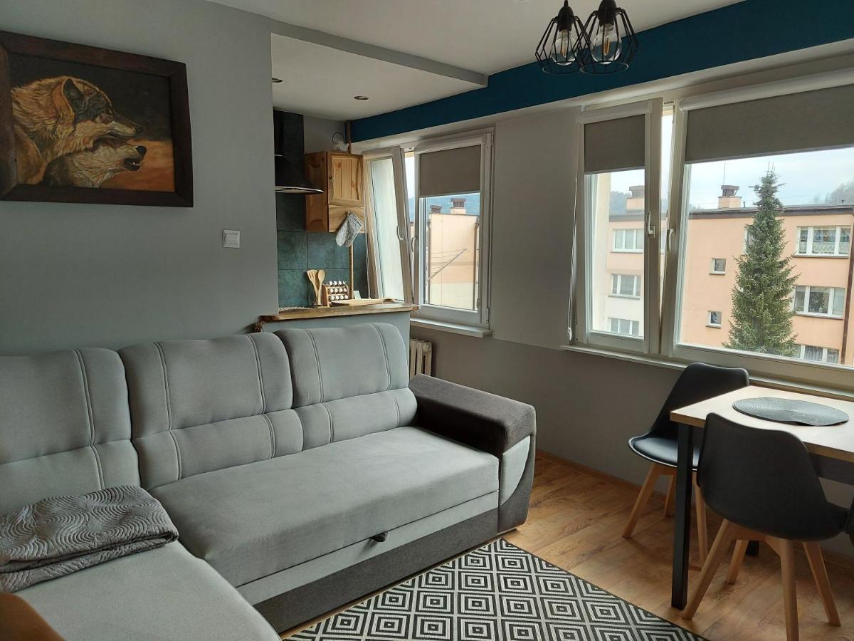 Apartmán Apartament Bieszczadzka Aniolomania Ustrzyki Dolne Exteriér fotografie
